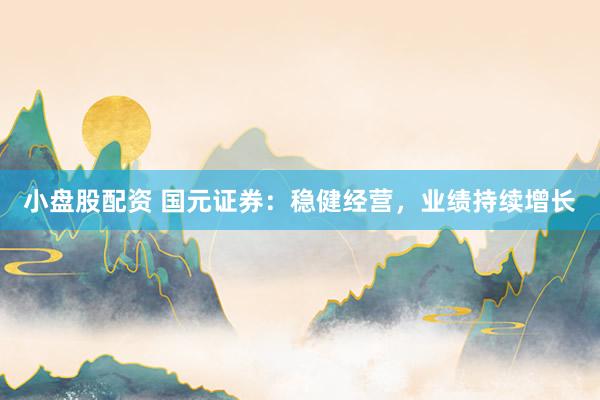 小盘股配资 国元证券：稳健经营，业绩持续增长