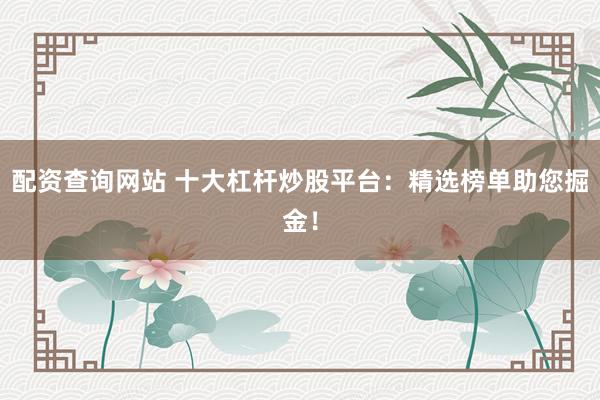 配资查询网站 十大杠杆炒股平台：精选榜单助您掘金！