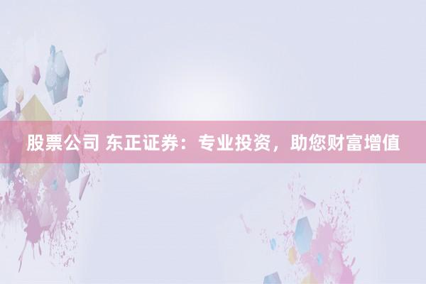 股票公司 东正证券：专业投资，助您财富增值