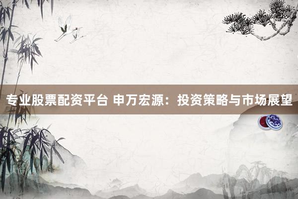 专业股票配资平台 申万宏源：投资策略与市场展望
