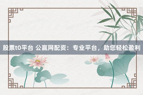 股票t0平台 公赢网配资：专业平台，助您轻松盈利
