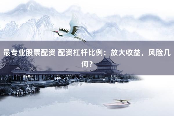 最专业股票配资 配资杠杆比例：放大收益，风险几何？
