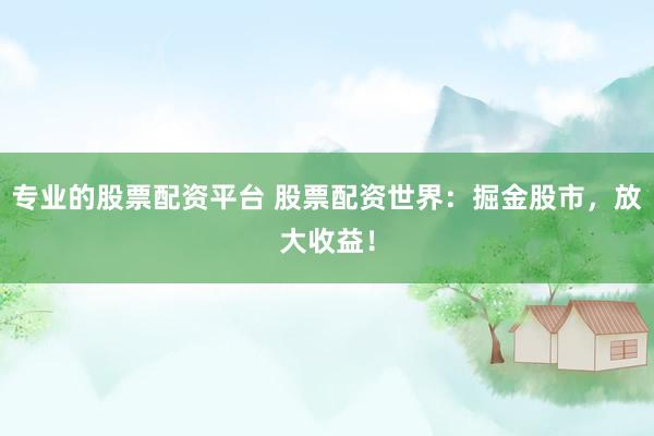 专业的股票配资平台 股票配资世界：掘金股市，放大收益！