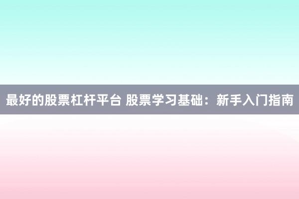 最好的股票杠杆平台 股票学习基础:新手入门指南