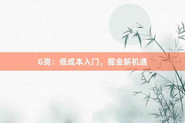 G资：低成本入门，掘金新机遇