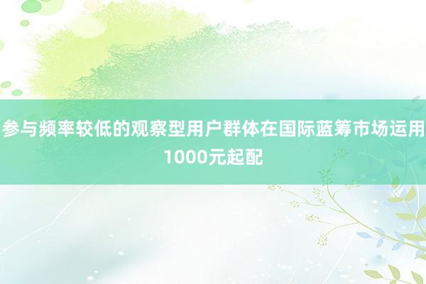 参与频率较低的观察型用户群体在国际蓝筹市场运用1000元起配
