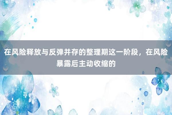 在风险释放与反弹并存的整理期这一阶段，在风险暴露后主动收缩的