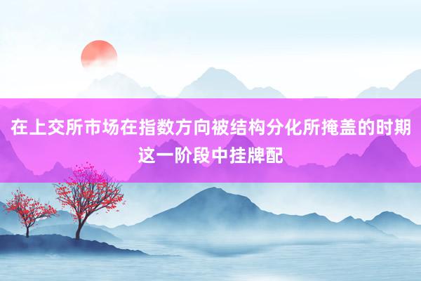 在上交所市场在指数方向被结构分化所掩盖的时期这一阶段中挂牌配