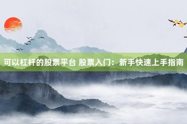 可以杠杆的股票平台 股票入门:新手快速上手指南