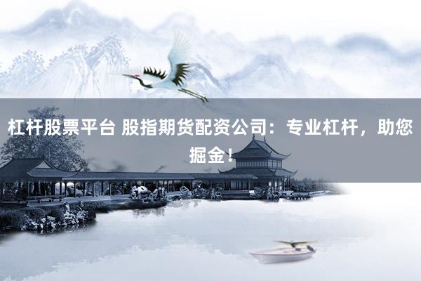 杠杆股票平台 股指期货配资公司：专业杠杆，助您掘金！
