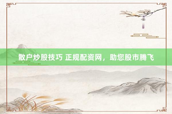 散户炒股技巧 正规配资网，助您股市腾飞